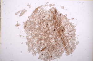 Plane Polarized, E14838