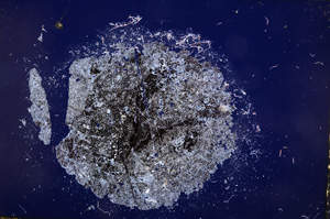 Cross Polarized, E14839