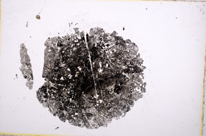 Plane Polarized, E14839