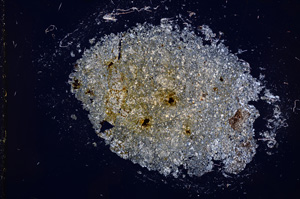 Cross Polarized, E14841