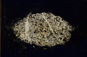 Cross Polarized, E14844