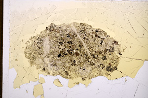 Plane Polarized, E14844