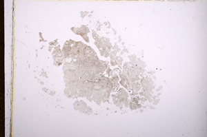 Plane Polarized, E14852