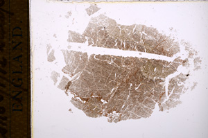 Plane Polarized, E14864
