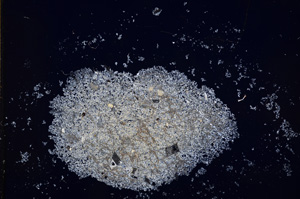 Cross Polarized, E14874