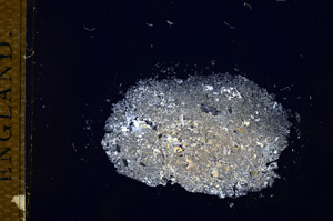 Cross Polarized, E14875