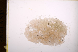 Plane Polarized, E14875