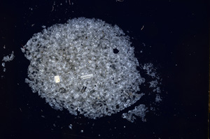 Cross Polarized, E14876