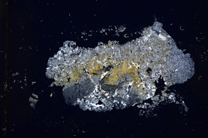 Cross Polarized, E14877