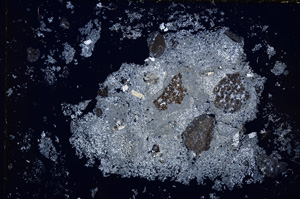 Cross Polarized, E14879