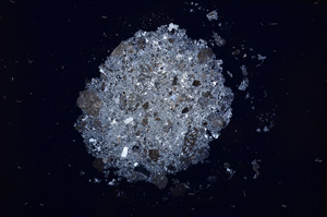 Cross Polarized, E14880