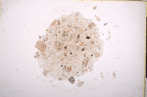 Plane Polarized, E14880