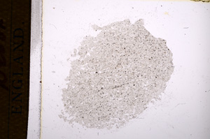 Plane Polarized, E14898