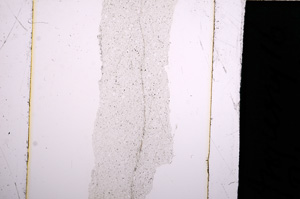 Plane Polarized, E14909