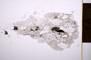 Plane Polarized, E14974