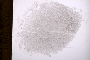 Plane Polarized, E14980