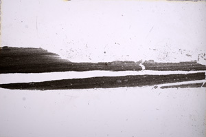 Plane Polarized, E14987