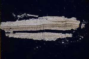 Cross Polarized, E14988
