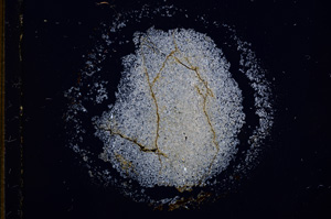 Cross Polarized, E14994
