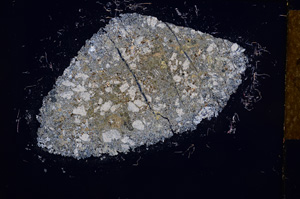 Cross Polarized, E14995