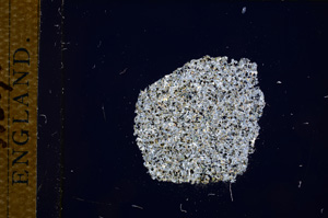 Cross Polarized, E15089