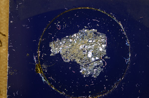 Cross Polarized, E15097