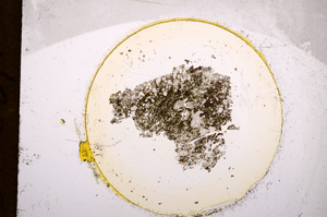 Plane Polarized, E15097