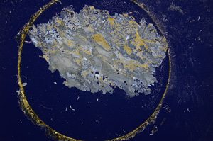 Cross Polarized, E15098