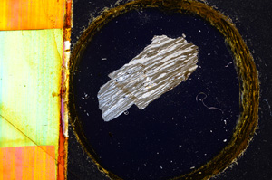 Cross Polarized, E15099