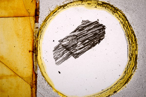 Plane Polarized, E15099