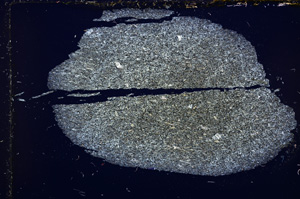 Cross Polarized, E15116