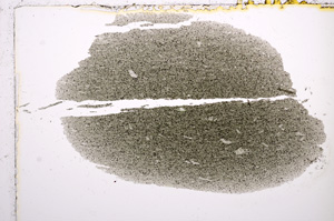 Plane Polarized, E15116