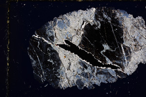 Cross Polarized, E15118