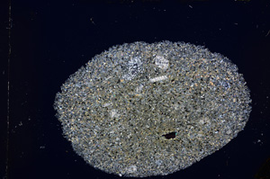 Cross Polarized, E15120