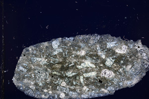 Cross Polarized, E15121