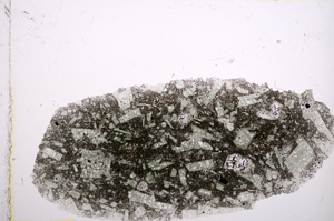 Plane Polarized, E15121