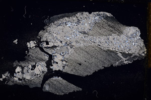 Cross Polarized, E15122