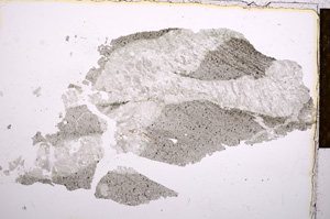 Plane Polarized, E15122