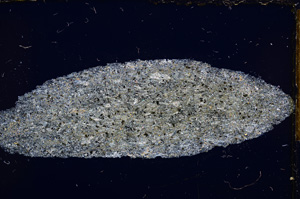 Cross Polarized, E15124