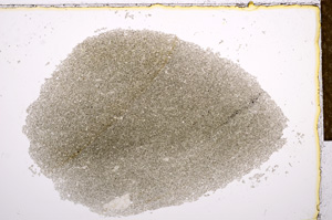 Plane Polarized, E15128