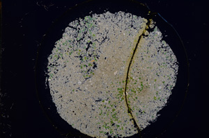 Cross Polarized, E15172