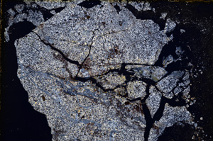 Cross Polarized, E15184