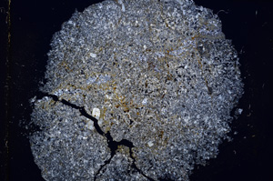 Cross Polarized, E15187