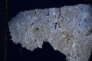 Cross Polarized, E15190