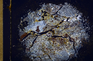 Cross Polarized, E15191