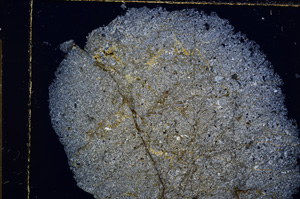 Cross Polarized, E15198