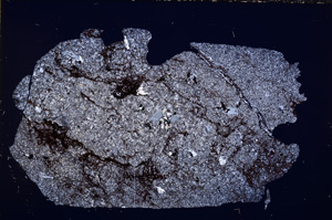 Cross Polarized, E15204