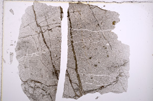 Plane Polarized, E15221
