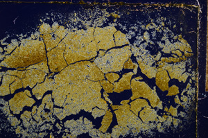 Cross Polarized, E15228