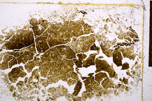 Plane Polarized, E15228